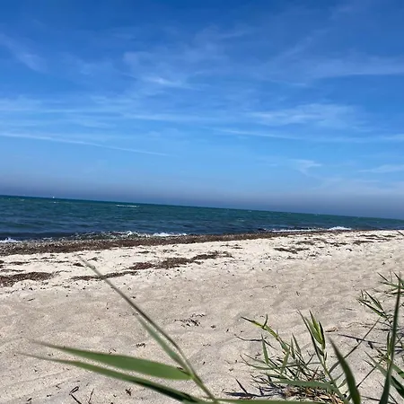 Ferienhaus Sealounge In Strandnaehe, Sauna, Strandkorb, Free W-Lan - Seaside - Casa de Férias Dassow